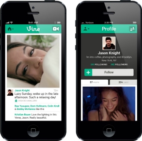 Vine top Vine top